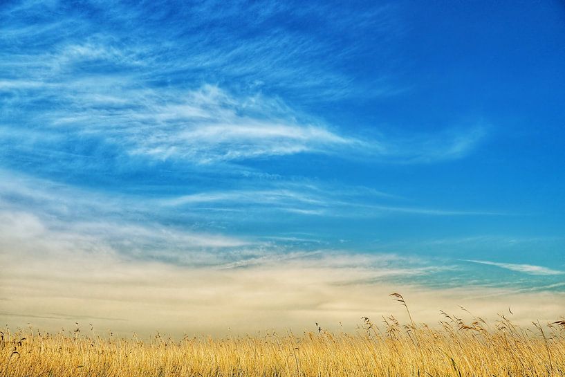 Ich denke an Holland von BHotography