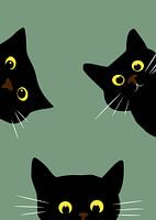 Drôle de chat chaton animal