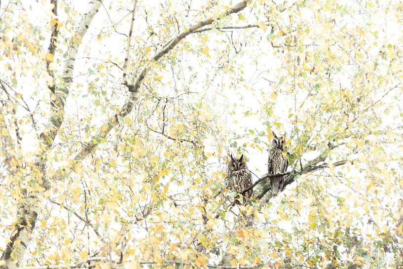 Tiere 9 von Mariëlle de Valk