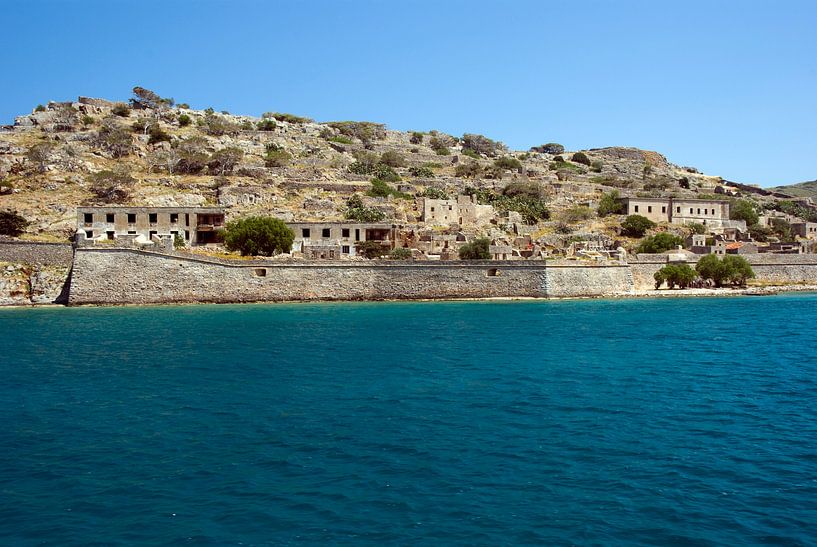 spina longa von ChrisWillemsen