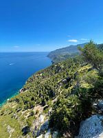 Mallorca - Landscape