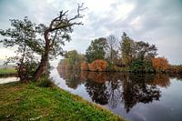 Autumn - Autumn in the polder of Leek Groningen
