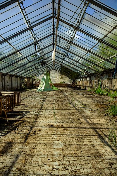Stille Leere – Ein verlassenes Gewächshaus im Sonnenlicht von InfiniteArtLabs