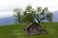 Alpine Einfachheit: Hütte am Berg, Brandnertal