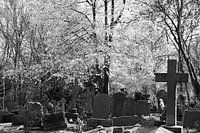 High Gate Cemetry Londen
