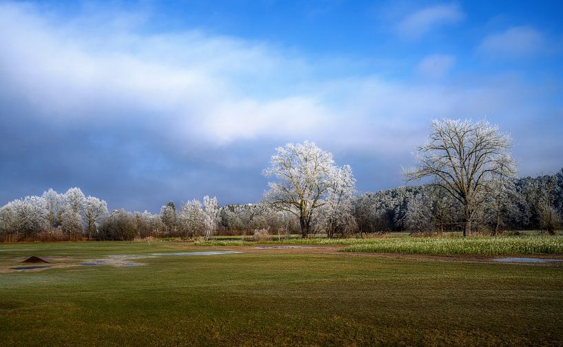 Winterlandschaft mit von Frost überzogenen Bäumen von ManfredFotos