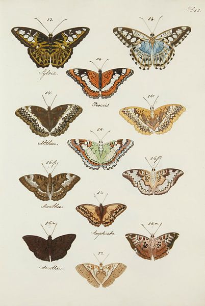 Die Uitlandse Dagno- und Nagt -Kapellen voll. 2, Caspar Stoll von Teylers Museum