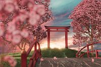 Japanese shrine surrounded by cherry blossom trees in the sunset