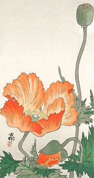 Fleurs de pavot. Art japonais par Ohara Koson par Dina Dankers
