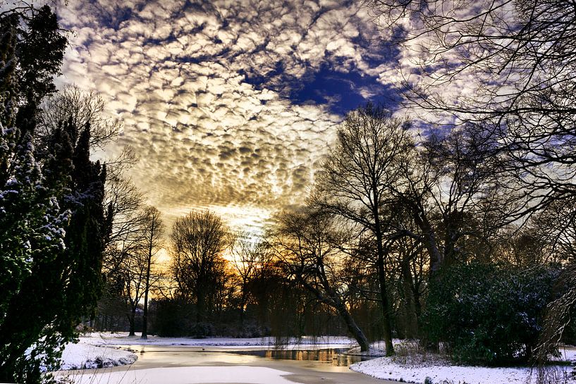 Winterlicht par Harrie Muis