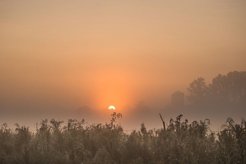 Lever de soleil dans la Frise aquatique par Goffe Jensma