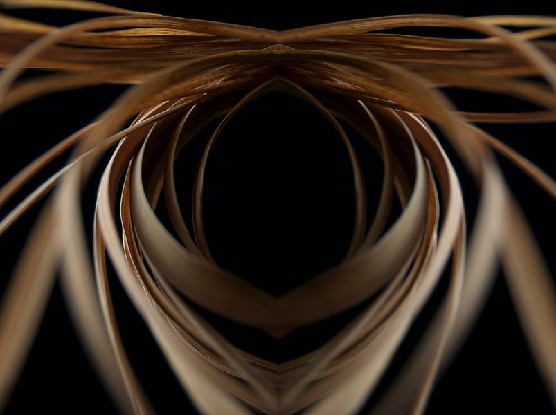 Tiges symétriques par Peter Baak