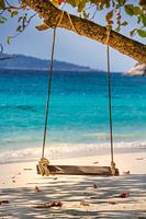 Wooden swing on the beach