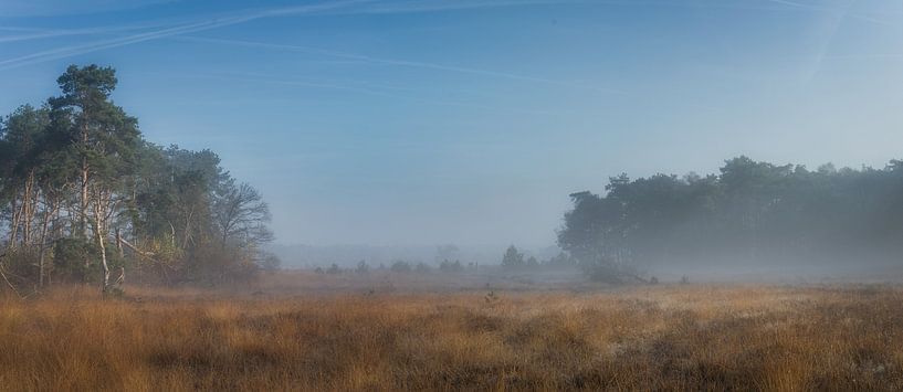 Nature at its best by Mart Houtman
