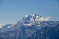 Un regard sur le géant