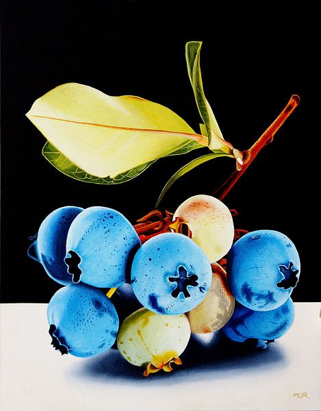 Branche de myrtille par Dietrich Moravec