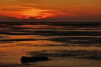 Under the blood red sky