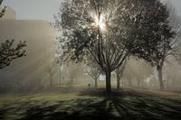 Optrekkende mist in Maastricht-west