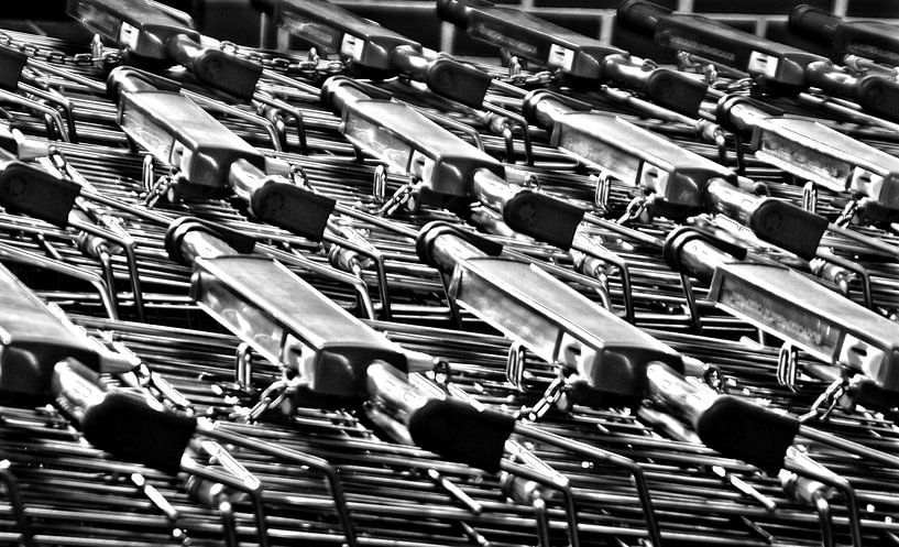 Einkaufswagen von Norbert Sülzner