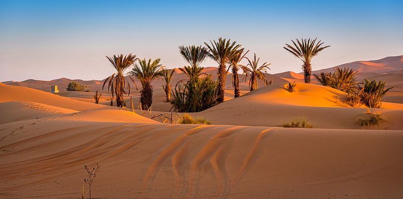 Oasis in Merzouga, Marokko von Rietje Bulthuis