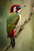 Pic en portrait de couleur et de texture