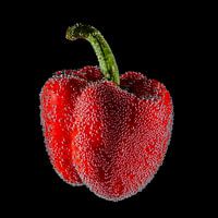 Sparkling Bell Pepper