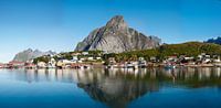 Reine