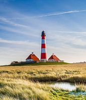 Der schönste im Norden