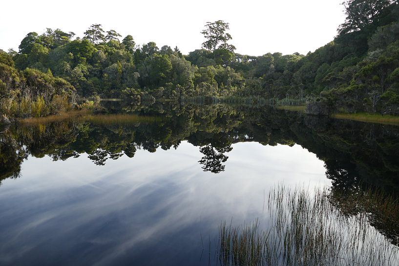 Lake Wilkie par Mark Sebregts
