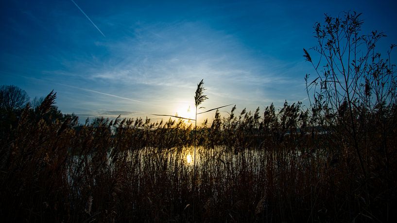 Une paille au coucher du soleil par Karin van Alphen