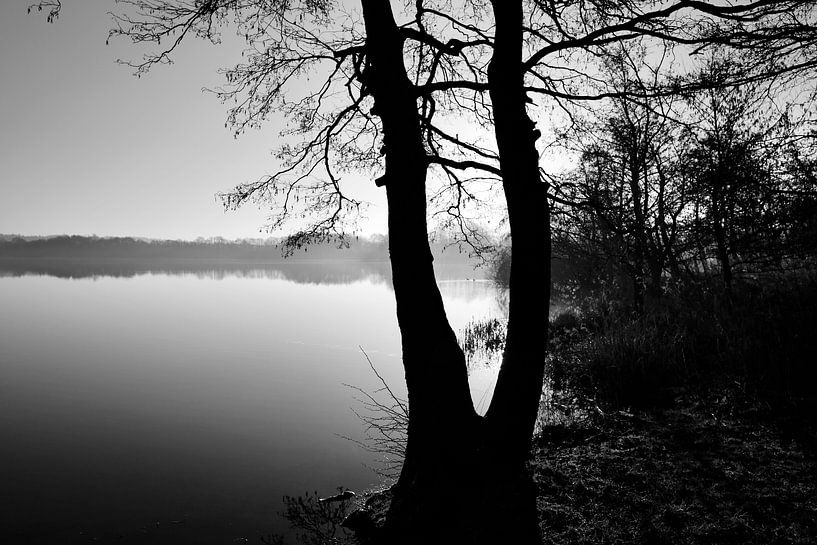 Seelandschaft von Heiko Westphalen