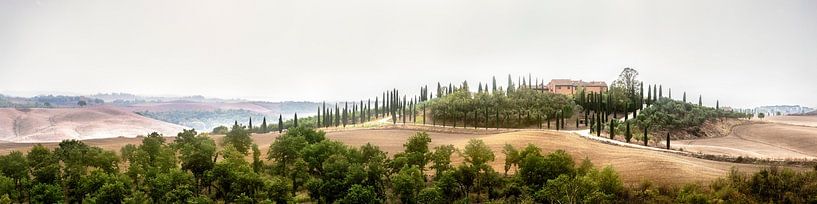 Paysage de la Toscane en Italie par Voss photographie