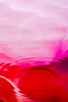 Hartstochtelijke dans