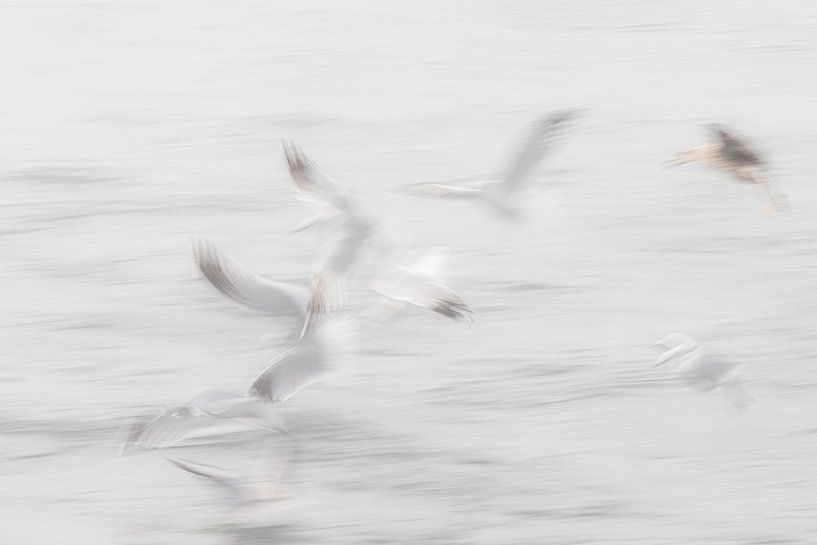 chasseurs de poissons en mer du Nord par Anna Pors