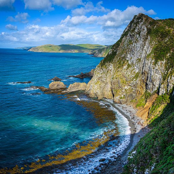 Bay in Southland , Neuseeland von Rietje Bulthuis