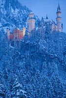 Verschneites Schloß Neuschwanstein - Füssen