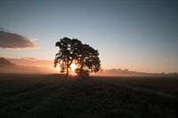 When the day breaks loose