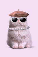 Fashion Cat
