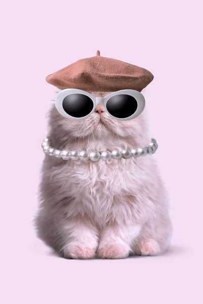 Fashion Cat by Jonas Loose