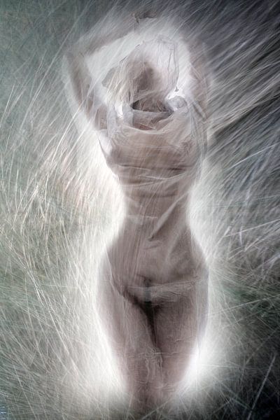 Grasgeflüster 1 von Fotokompost von Lichtgestalt