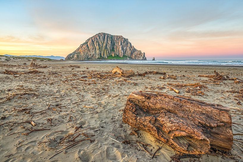 Van drijfhout tot Morro Rock van Joseph S Giacalone Photography