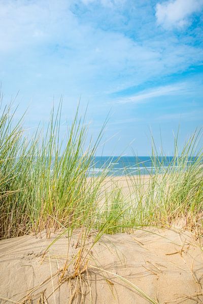 Vue depuis les dunes sur la plage de sable de la mer du Nord par Sjoerd van der Wal Photographie
