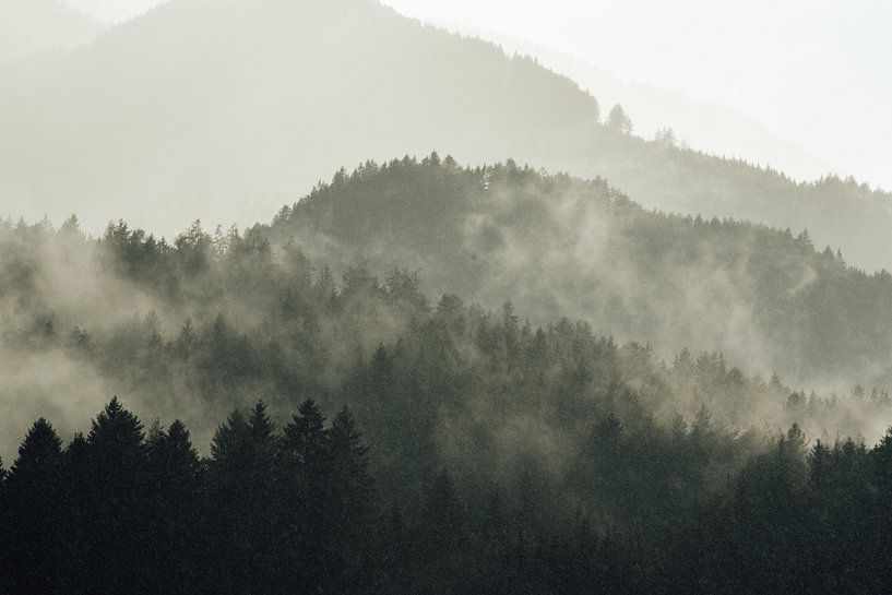 Nebel in Österreichs Wäldern und Bergen von Karen Velleman