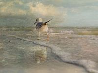 Een wandeling langs het strand.