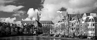 Panorama, Spaarne und Große oder St. Bavo Kirche 01
