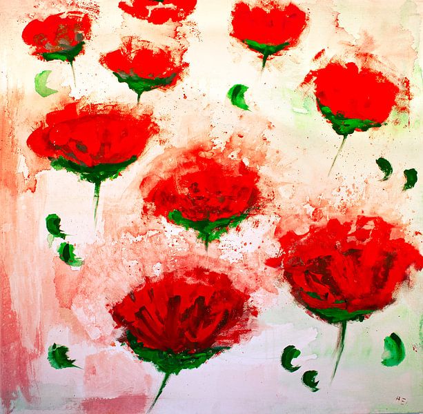 Roter Mohn von Klaus Heidecker