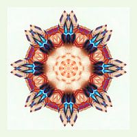 Ich bin... Indiana Stamm