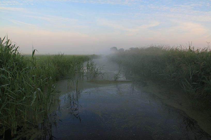 Polderlandschaft von Sander Maas