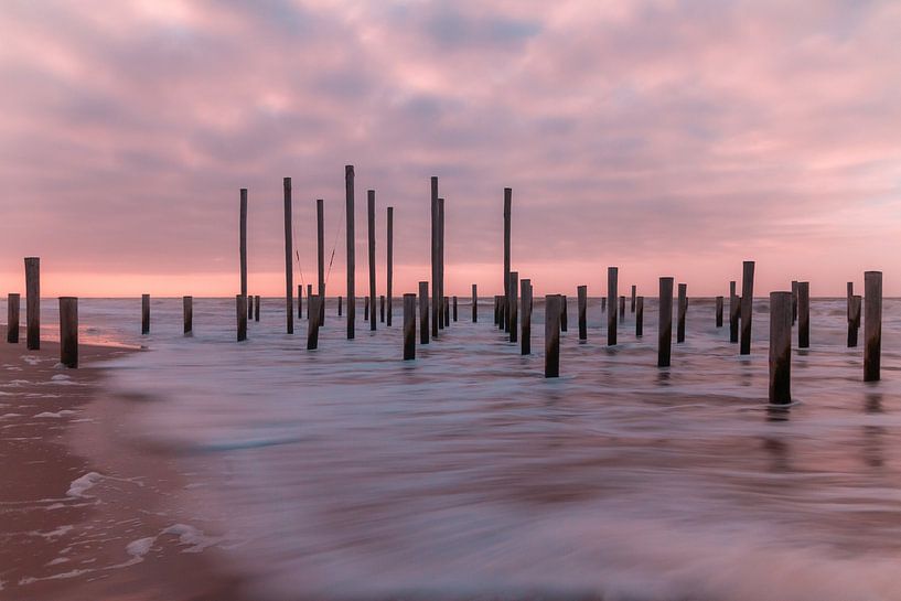 Palendorp Petten 4 by Nuance Beeld