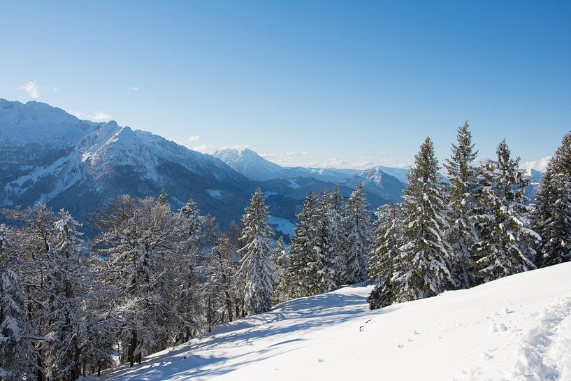 Sneeuwlandschap von Marjolijn Barten